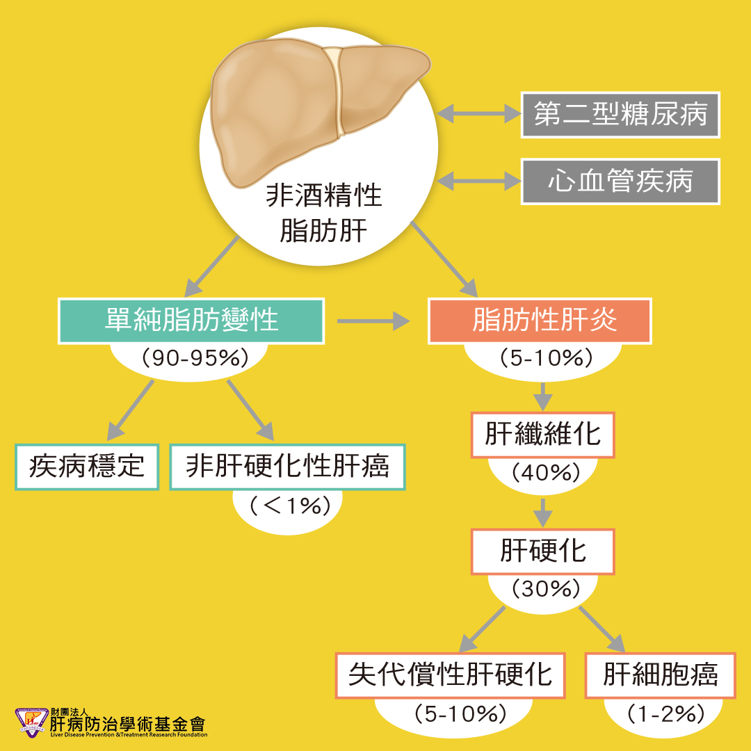 非酒精性脂肪肝