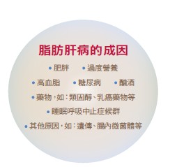 脂肪肝病的成因 肥胖 過度營養 高血脂 糖尿病 酗酒 藥物，如：類固醇、乳癌藥物等 睡眠呼吸中止症候群 其他原因，如：遺傳、腸內微菌體等